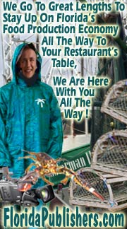 From The High Seas, Into the Docks and All The Way To Your Restaurant Table, We Are Here With You On Florida's Hospitality Economy!